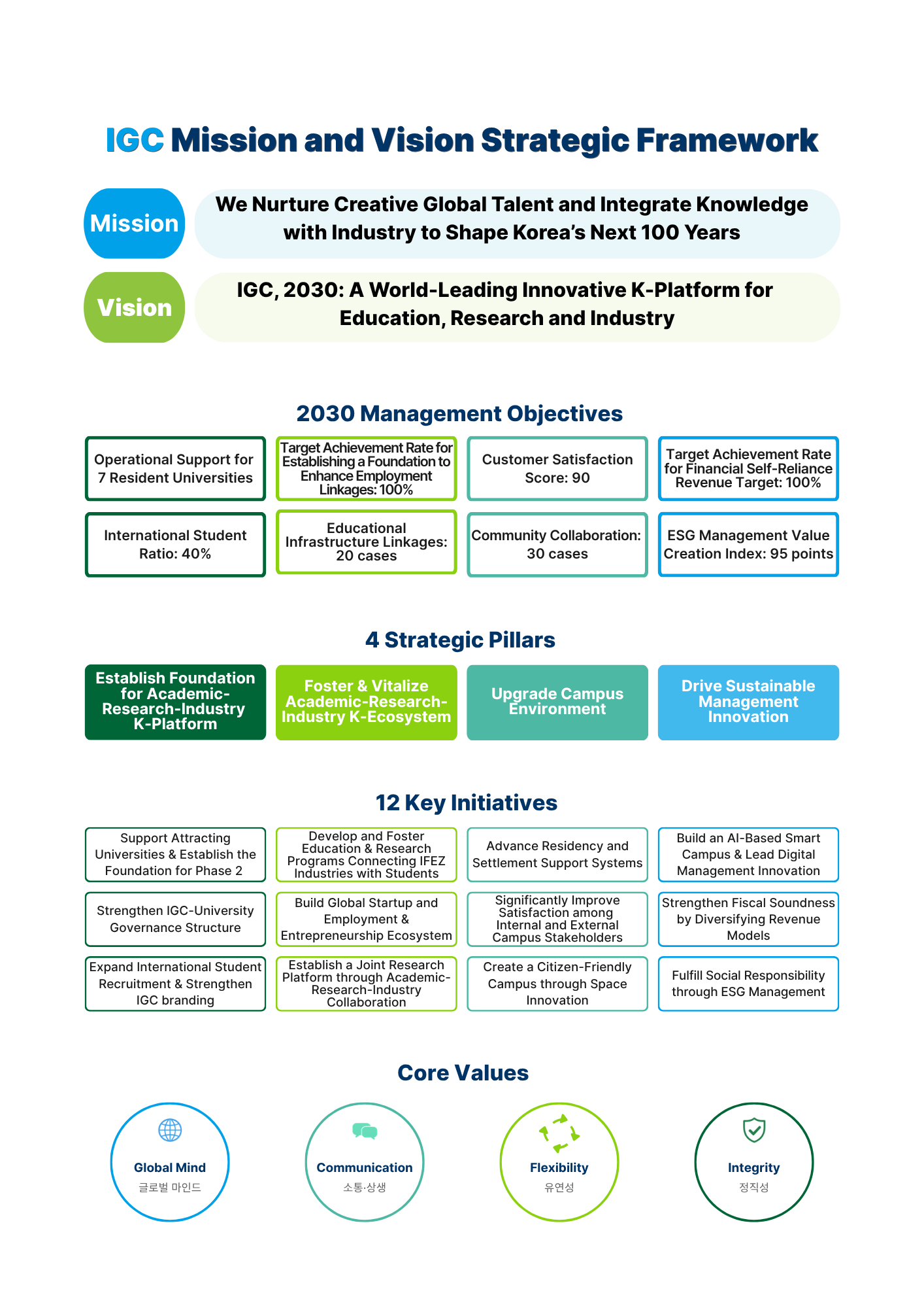 IGC Mission and Vision Strategic Framework