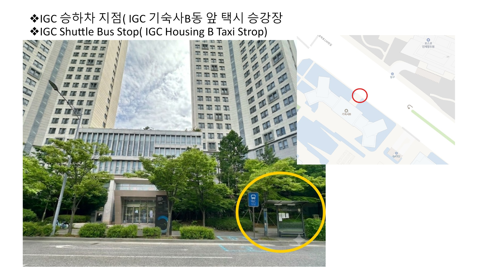 Street photo and location map of the IGC shuttle bus stop at the taxi stop in front of IGC Housing B.